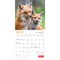 Canadian Geographic Foxes OFFICIAL | 2026 12 x 24 Inch (Hanging) Monthly Square Wall Calendar